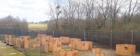 Activité paintball, ça prend forme !!!